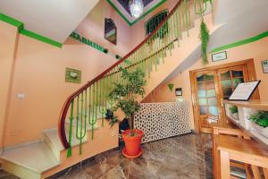 内尔哈Charming Nerja Hostel的走廊上设有楼梯和盆栽植物