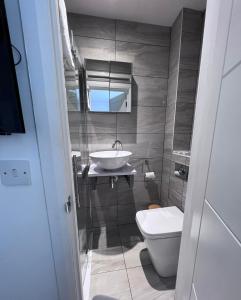 霍利N 25的一间带水槽和卫生间的浴室