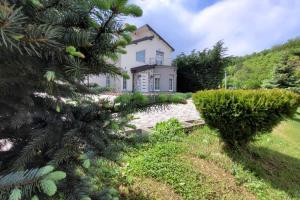 乌罗舍瓦茨Amazing Villa with pool nearby Shtime - Ferizaj的前面有圣诞树的房子