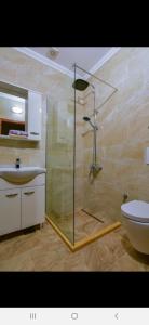 乌尔齐尼Apartments Hillside的带淋浴、卫生间和盥洗盆的浴室