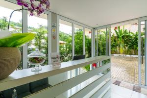 帕拉蒂POUSADA HAPPY DAY PARATY的客房设有窗户,享有庭院的景致。