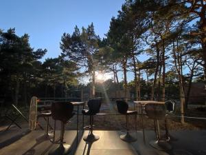 罗威Good Spot Morze的阳光照耀着树的桌椅