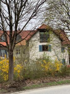 HuglfingFerienwohnung 2 in Huglfing im Herzen vom 5 Seen Land Oberbayern的白色的房子,有树和黄色的花