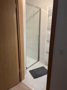 弗朗科尔尚Côté Source " Appartement "的玻璃门通向带淋浴的浴室
