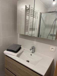 弗朗科尔尚Côté Source " Appartement "的白色的浴室设有水槽和镜子