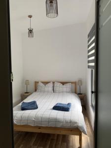 密古雷休治Tiny retreat的卧室配有白色床和蓝色枕头