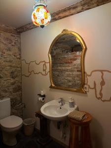 利耶帕亚Fontaine Mansion的一间带水槽、镜子和卫生间的浴室