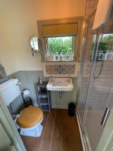 米德赫斯特半路大桥酒店的浴室配有卫生间、盥洗盆和淋浴。