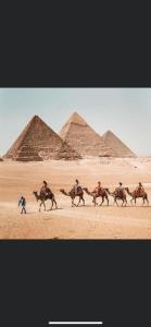 开罗king ramses pyramids view apartment的一群在金字塔前骑马的人