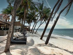 美奈太阳海度假酒店的海滩上一排棕榈树与大海