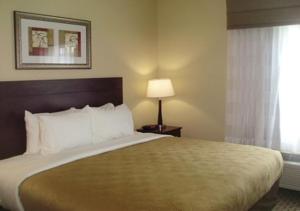 梅里迪恩MainStay Suites Meridian的酒店客房设有床、灯和窗户。