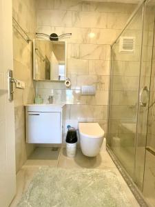 达拉曼Airport Guest House的带淋浴、卫生间和盥洗盆的浴室