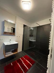 德利茨希SWID Appartement的一间带水槽和淋浴的浴室