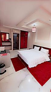阿加迪尔Riad dar salam的一间卧室配有一张大床和红色地毯。