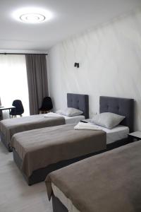 乌日霍罗德Forsage Hotel的酒店客房设有两张床和一张桌子。