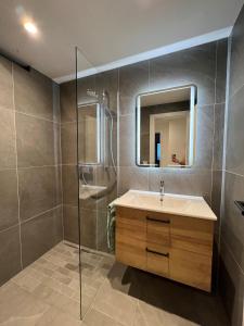 格蒙登Grünberg Apartments的一间带水槽、淋浴和镜子的浴室