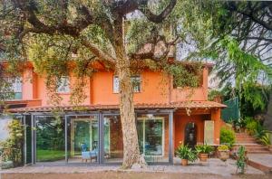 罗马Casa Dei Leoni, luminoso open space immerso nel verde的一座橘色房子,前面有一棵树