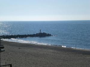 帕拉瓦莱弗洛Un séjour les pieds dans l'eau的站在海洋岩石上的人