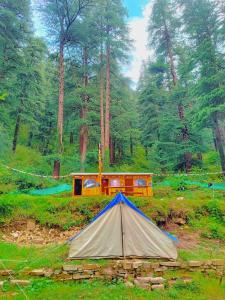 卡索尔Shanti People Huts & Camp的森林中的一个帐篷