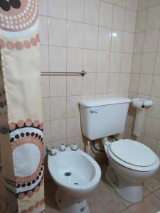波特雷里约斯Cabañas Troncos Del Salto的一间带卫生间和水槽的浴室