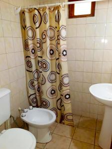波特雷里约斯Cabañas Troncos Del Salto的一间带卫生间和淋浴帘的浴室