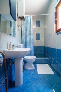 尼亚卢卡Sunny的蓝色的浴室设有水槽和卫生间