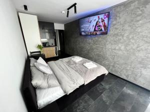 乌斯特龙Apartament Ustroń的卧室配有一张床,墙上配有电视。