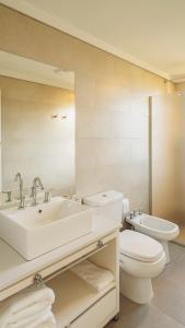 塔菲德尔瓦勒La Madrina Apart Hotel的一间带水槽、卫生间和镜子的浴室