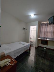 PenápolisBIGS HOTEL的客房设有一张床和一间带电视的浴室。