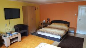 萨拉热窝Modern&Cozy Bosnian house with GARDEN+FREE parking的一间卧室配有一张床和一台平面电视