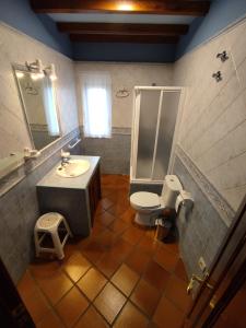 坎德拉里奥Casa Rural Puerta del Sol de 3 habitaciones的一间带水槽、卫生间和淋浴的浴室
