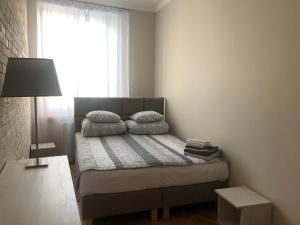 卢布林Zamkowy Apartament的一间卧室配有带两个枕头的床和窗户