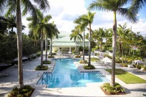 迈阿密UPSCALE RESORT VILLA IN THE HEART OF MIAMI的棕榈树度假村的游泳池景