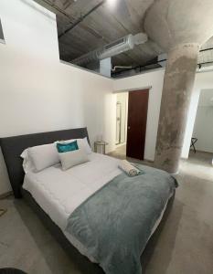 圣路易斯Luxury Cozy Loft Downtown STL的一间卧室,卧室内配有一张大床