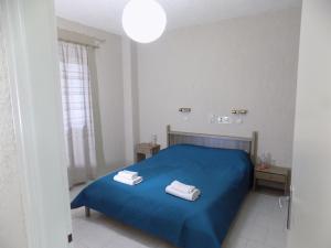 阿依亚埃夫菲亚Afrodite Spacious Apartments!的一间卧室配有蓝色的床和2条毛巾