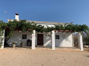 卡斯特里尔Casas Rurales Cortijo Cerro Fuentes Nuevas的白色的房子,上面有一堆葡萄藤