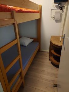 拉纳肯Chalet的一间卧室配有一张双层床和梯子