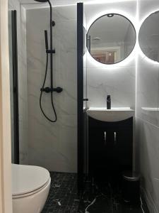 卑尔根MK8 Apartment的一间带卫生间、水槽和镜子的浴室