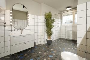 贝尔格莱德Tulum Apart Center Belgrade的浴室设有水槽、镜子和盆栽植物