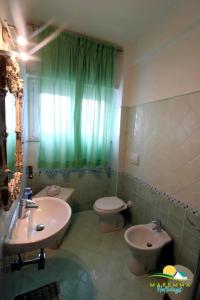 福洛尼卡Maremma Holidays : Fiore Apartment的一间带水槽、卫生间和绿色窗帘的浴室