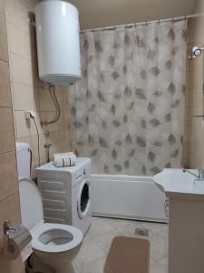 普卢日内Apartman Andjela的一间带卫生间和淋浴帘的浴室