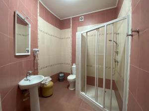切尔诺夫策Parus的带淋浴、盥洗盆和卫生间的浴室