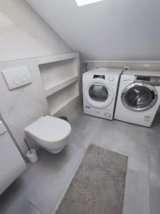 锡尼Apartment Loft的一间带卫生间和洗衣机的浴室