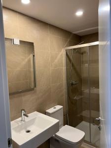 马德里Mars Suites Porras的浴室配有卫生间、盥洗盆和淋浴。