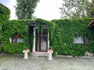 蒂米什瓦拉Vila Toscana的一座有门和两株植物的绿色常春藤覆盖的建筑