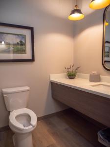 New FlorenceBrady Hotel的一间带卫生间和水槽的浴室