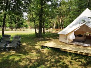 沃胡夫Glamping Kaliska的田野上的帐篷,配有椅子和树木