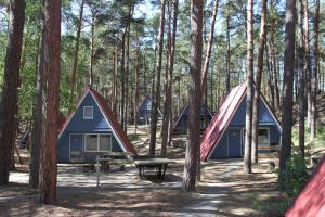 特拉森海德Finndorf的树林里的一组帐篷,配有野餐桌