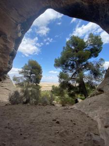 耶克拉Casa Rural Finca Juanamare的从沙漠的洞穴中欣赏树木