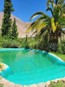 AlcoguazCASAS AMANCAY - Alcohuaz的一座蓝泳池,泳池内种有棕榈树,山 ⁇ 环绕